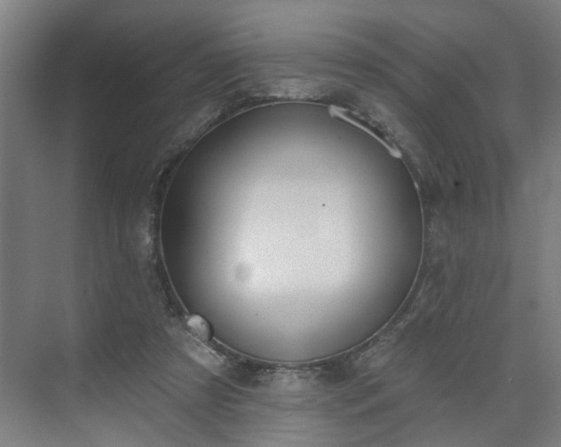 X0000075350305200609151618