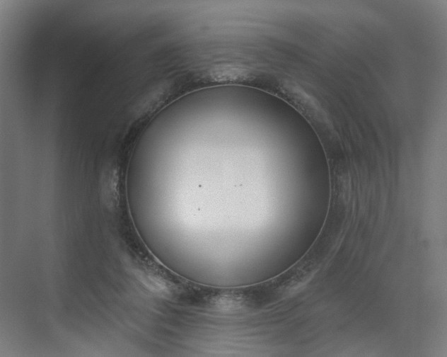 X0000075350308200609151618