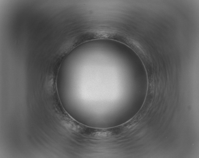 X0000075350314200609151618