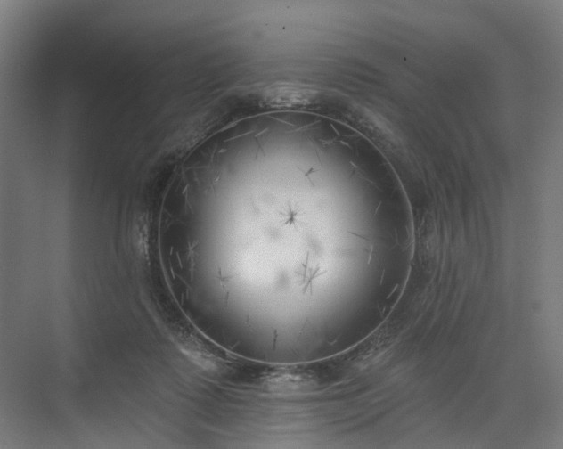 X0000075350315200609151618