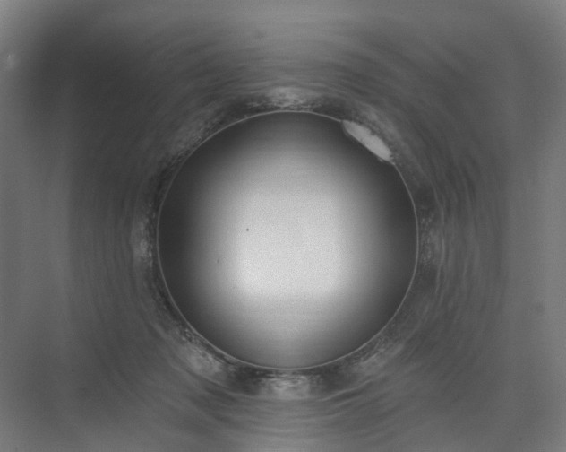 X0000075350317200609151618