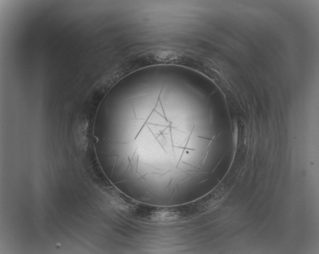 X0000075350319200609151617