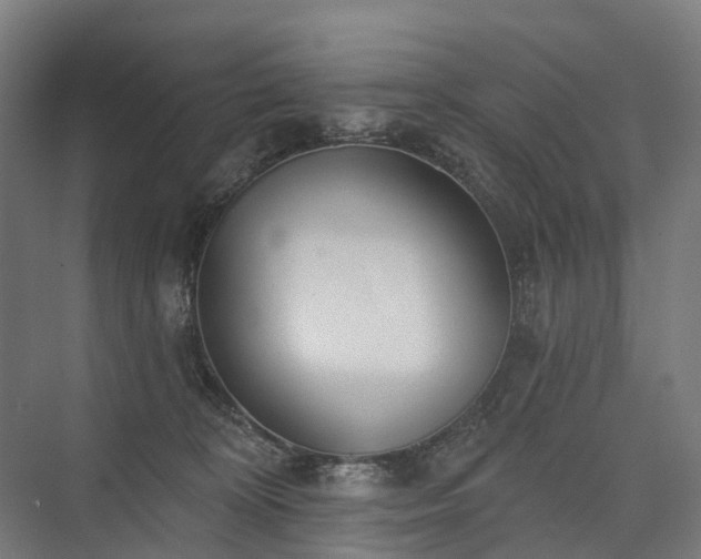 X0000075350324200609151617