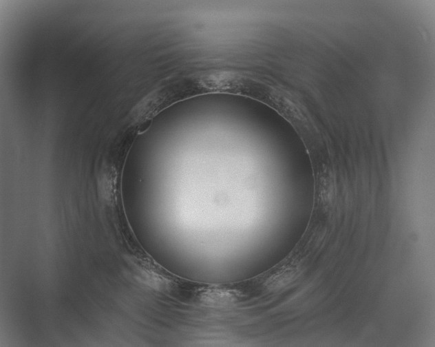 X0000075350332200609151617