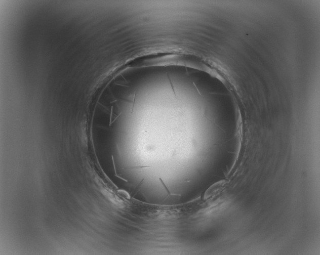 X0000075350345200609151617