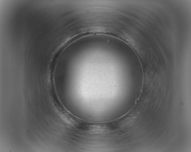X0000075350347200609151617
