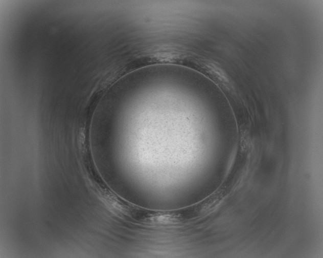 X0000075350365200609151617