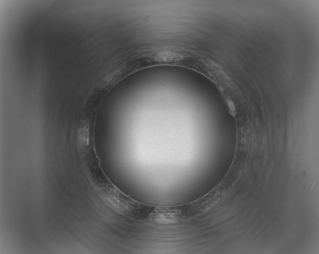 X0000075350368200609151617