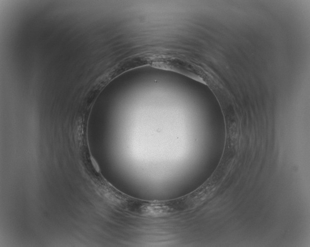 X0000075350372200609151617