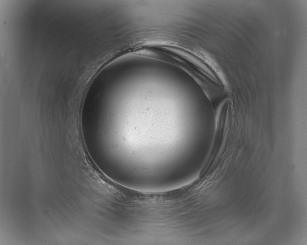 X0000075350385200609151616