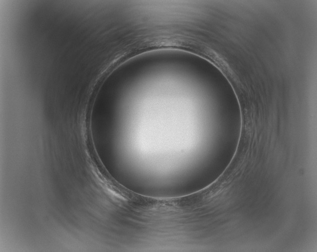 X0000075350386200609151616