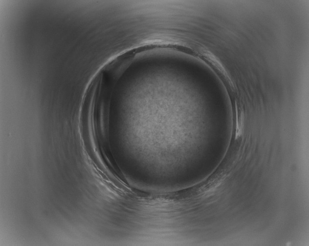 X0000075350387200609151616