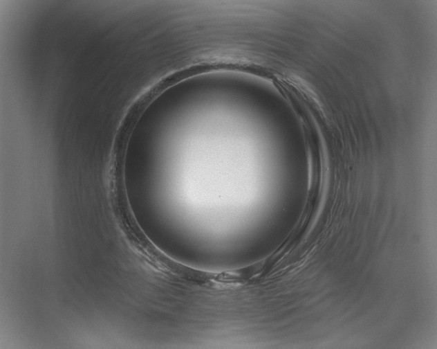 X0000075350388200609151616