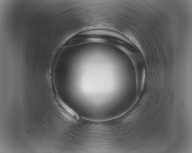 X0000075350389200609151616