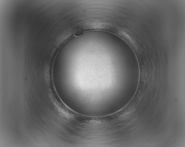 X0000075350394200609151616