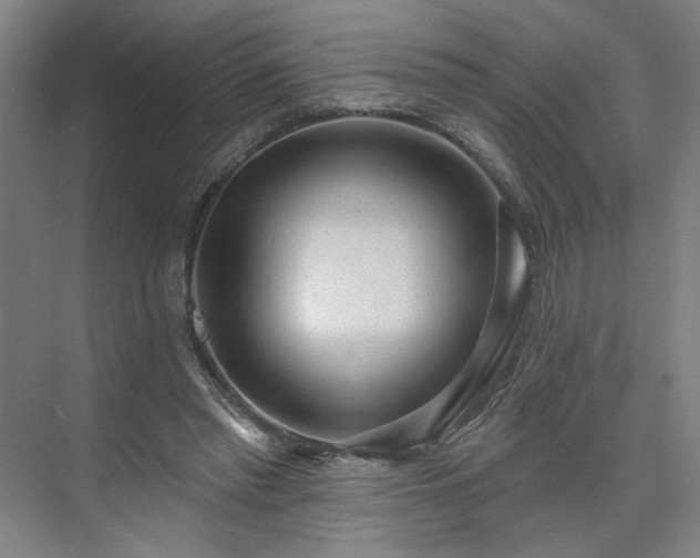 X0000075350397200609151616