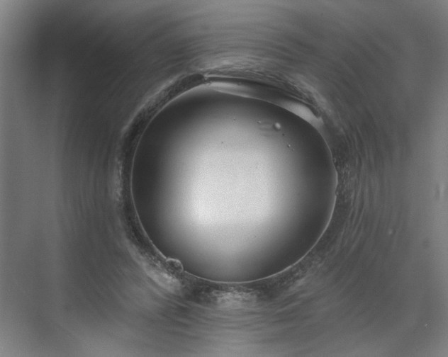 X0000075350400200609151616