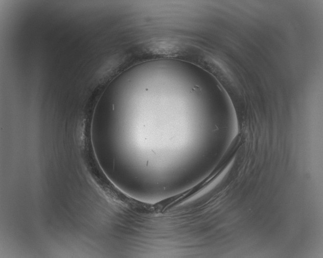 X0000075350404200609151616