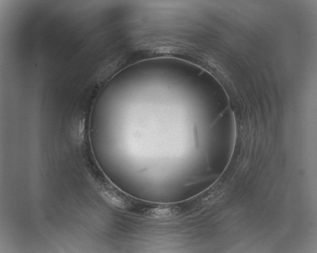 X0000075350406200609151616
