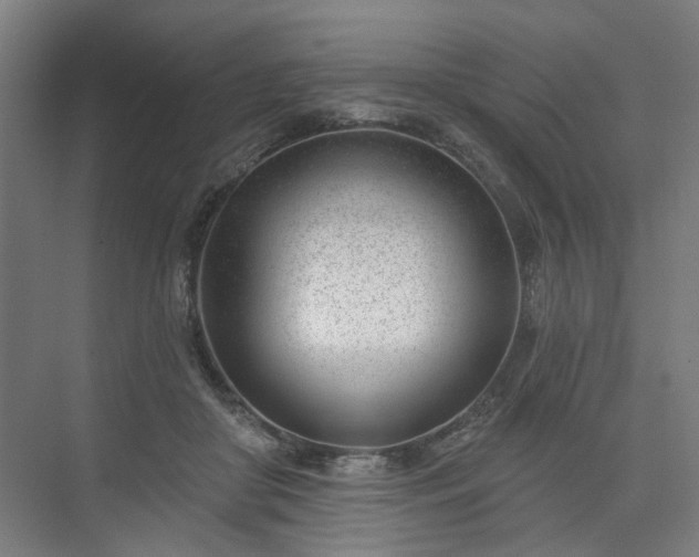 X0000075350410200609151616