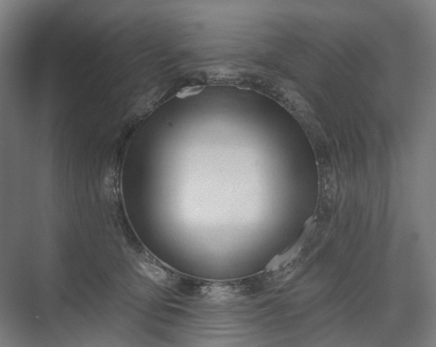 X0000075350419200609151616