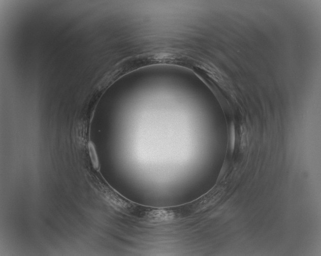 X0000075350421200609151616