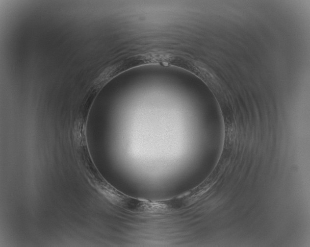 X0000075350429200609151616