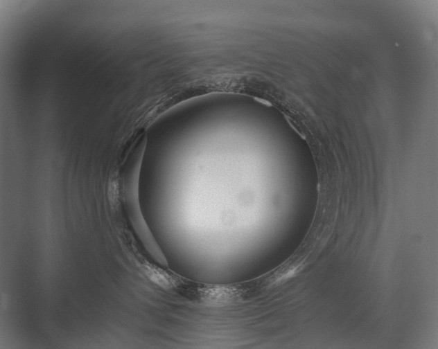 X0000075350432200609151616
