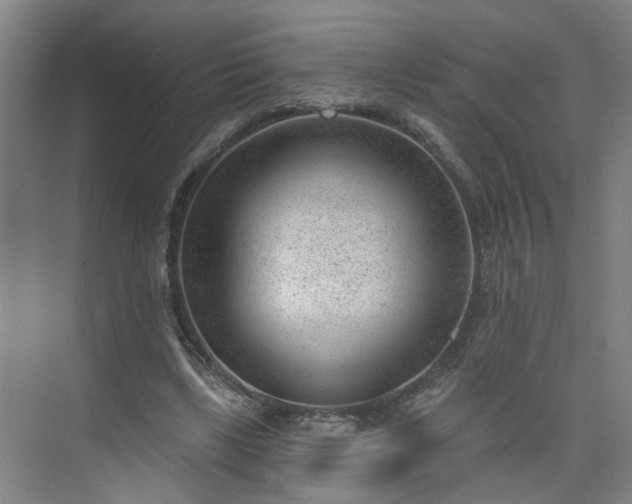 X0000075350443200609151615