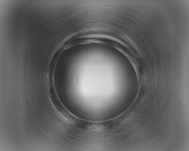 X0000075350444200609151615