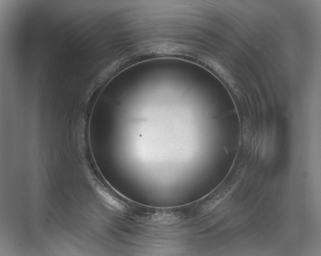 X0000075350445200609151615