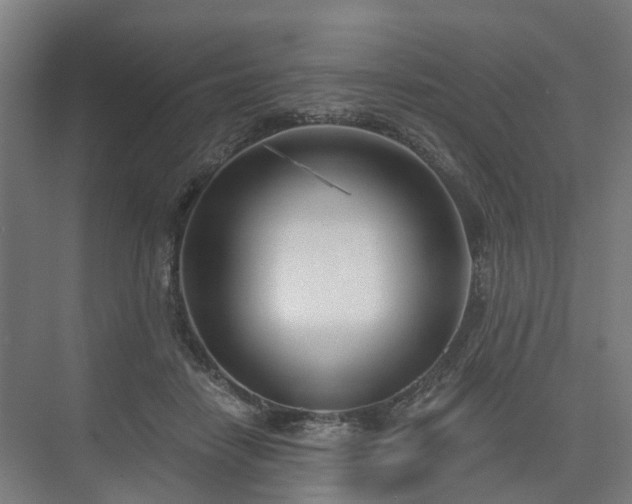 X0000075350458200609151615