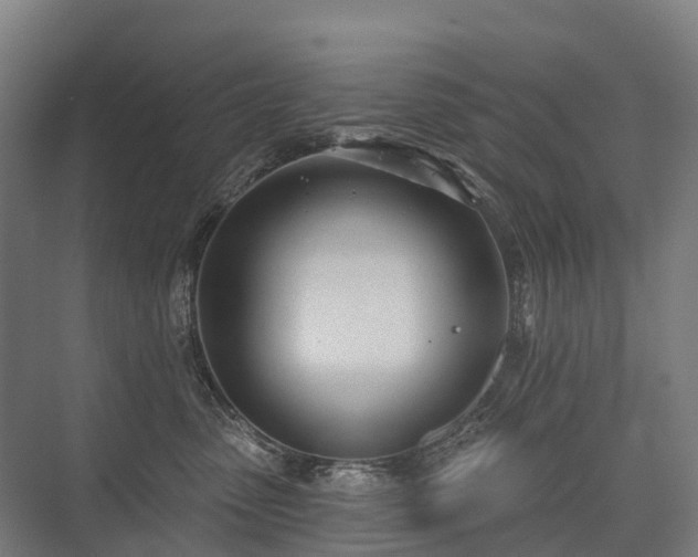 X0000075350475200609151615