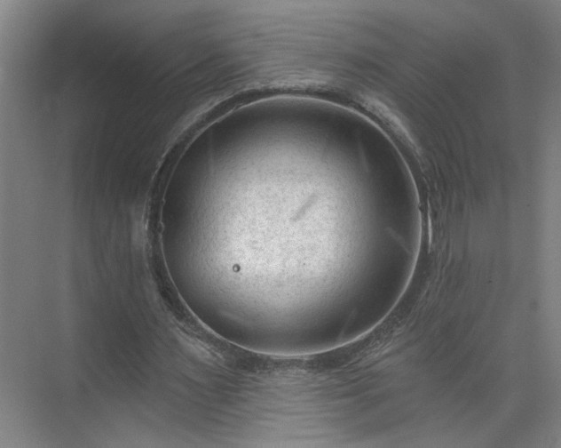 X0000075350483200609151615