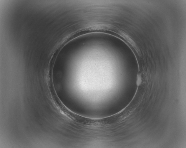 X0000075350485200609151615