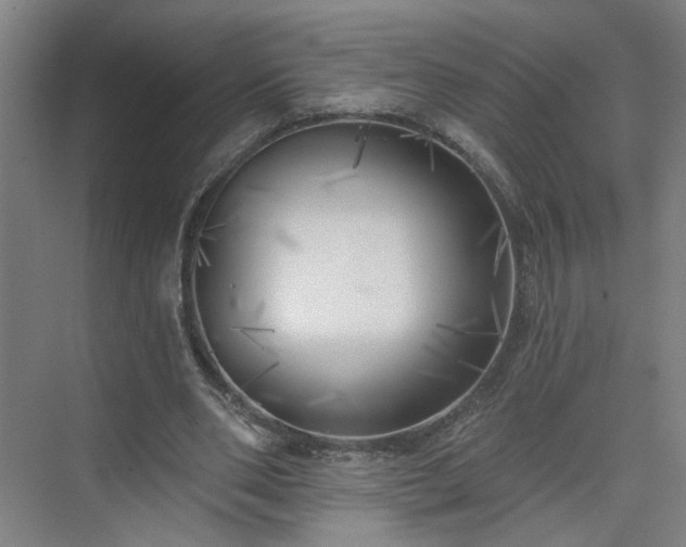 X0000075350486200609151615
