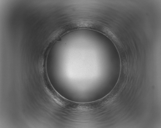 X0000075350490200609151615
