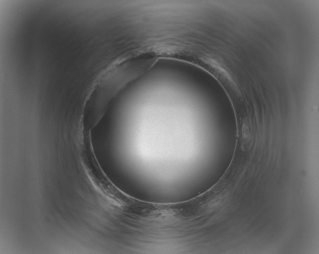 X0000075350492200609151615
