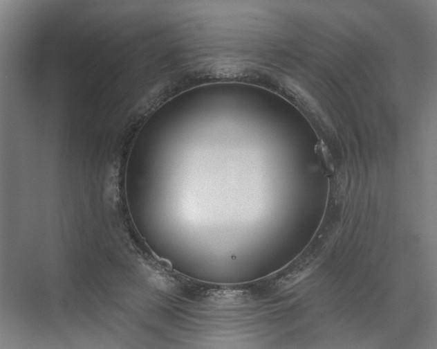 X0000075350497200609151614