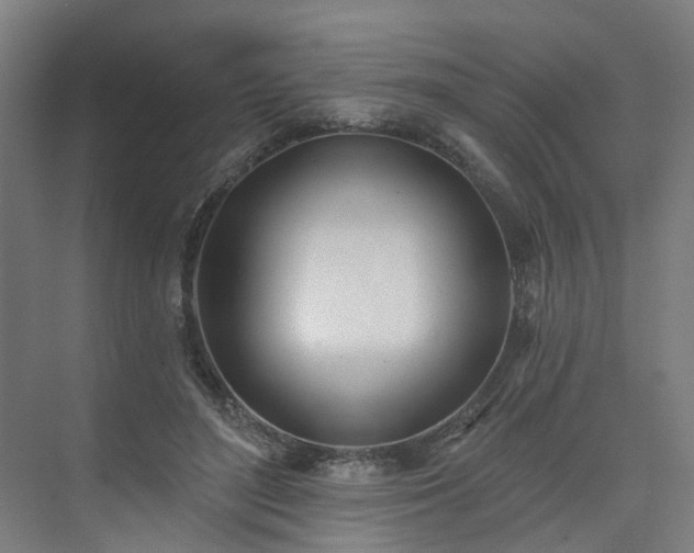 X0000075350500200609151614