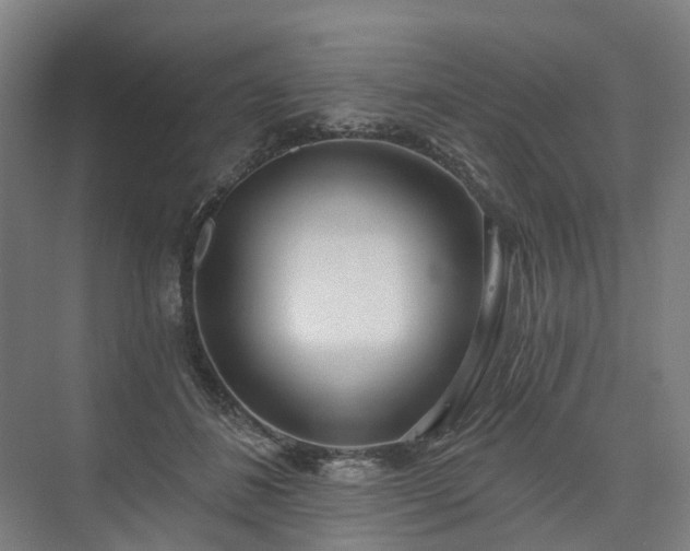 X0000075350508200609151614