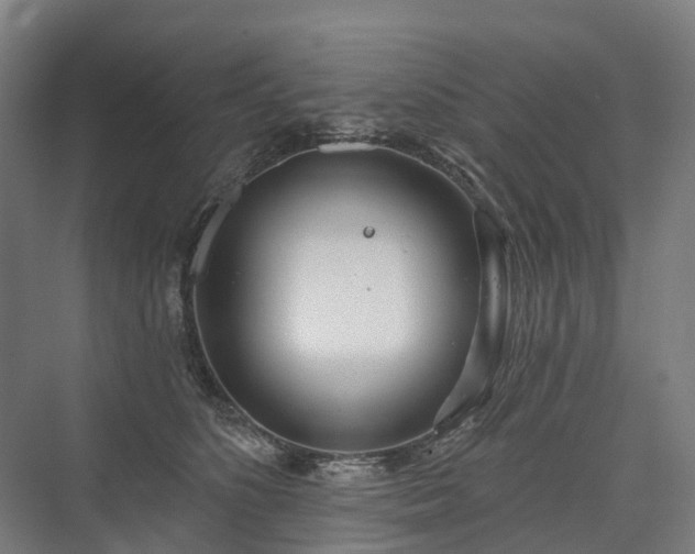 X0000075350516200609151614