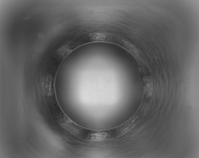 X0000075350525200609151614