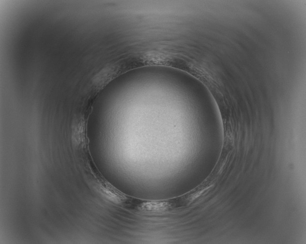 X0000075350526200609151614