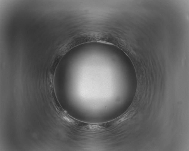 X0000075350528200609151614
