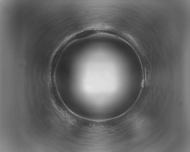 X0000075350531200609151613
