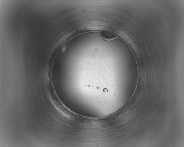 X0000075350533200609151613