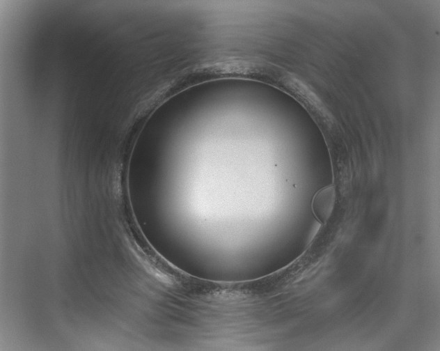 X0000075350537200609151613