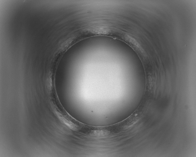 X0000075350541200609151613