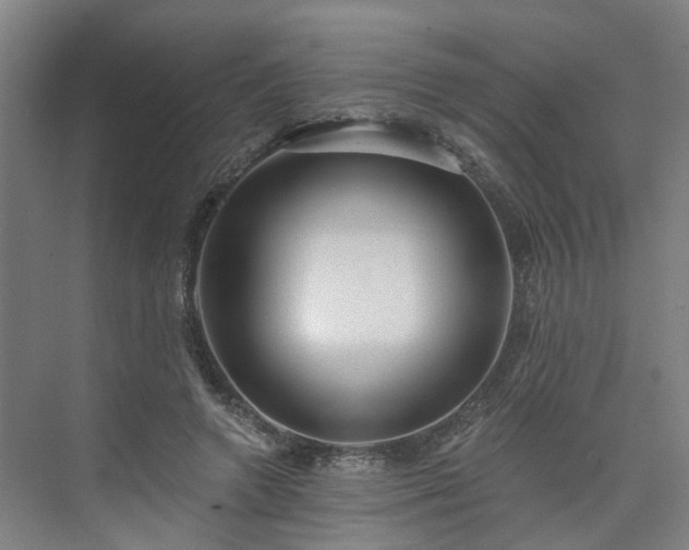 X0000075350546200609151613